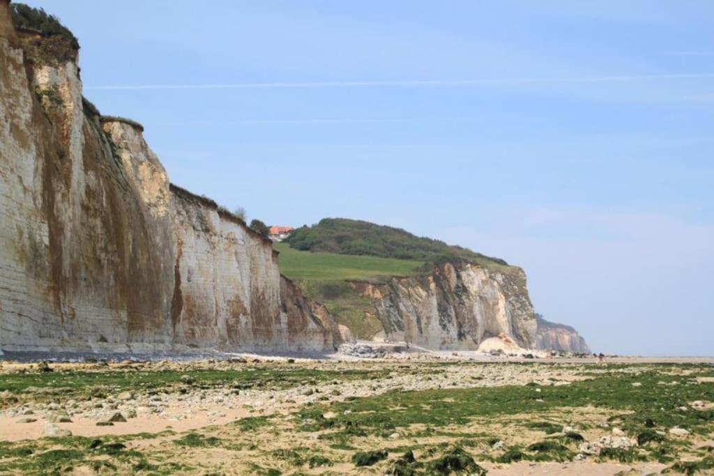 Bel Appartement Vue Mer Centre-Ville, Face Plage Dieppe Kültér fotó